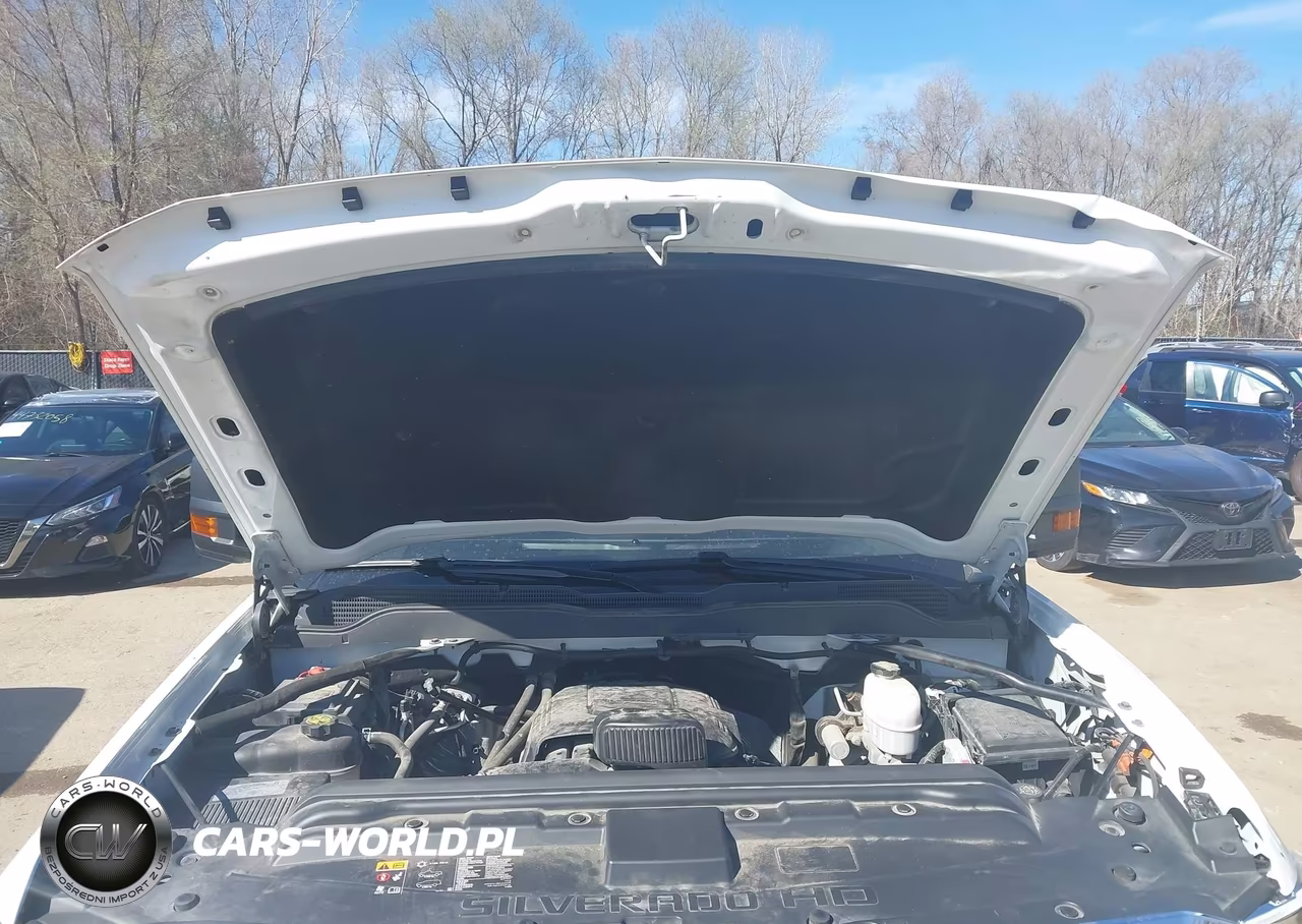 2019 Chevrolet Silverado 2500Hd Lt VIN:1GC1KSEG4KF180955 - 10