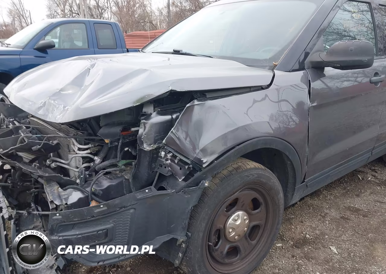 2019 Ford Police Interceptor Utility VIN:1FM5K8AR4KGA19801 - 17