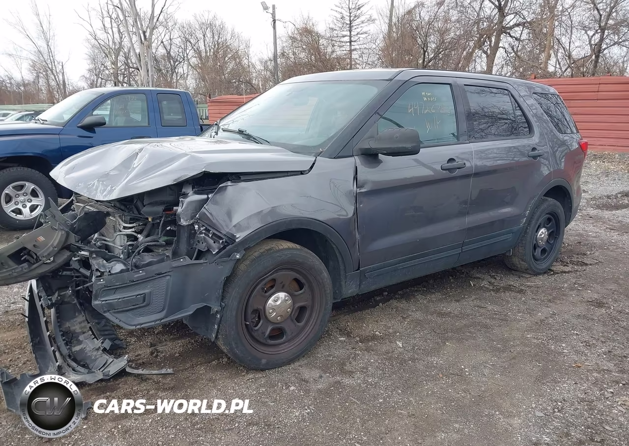 2019 Ford Police Interceptor Utility VIN:1FM5K8AR4KGA19801 - 2