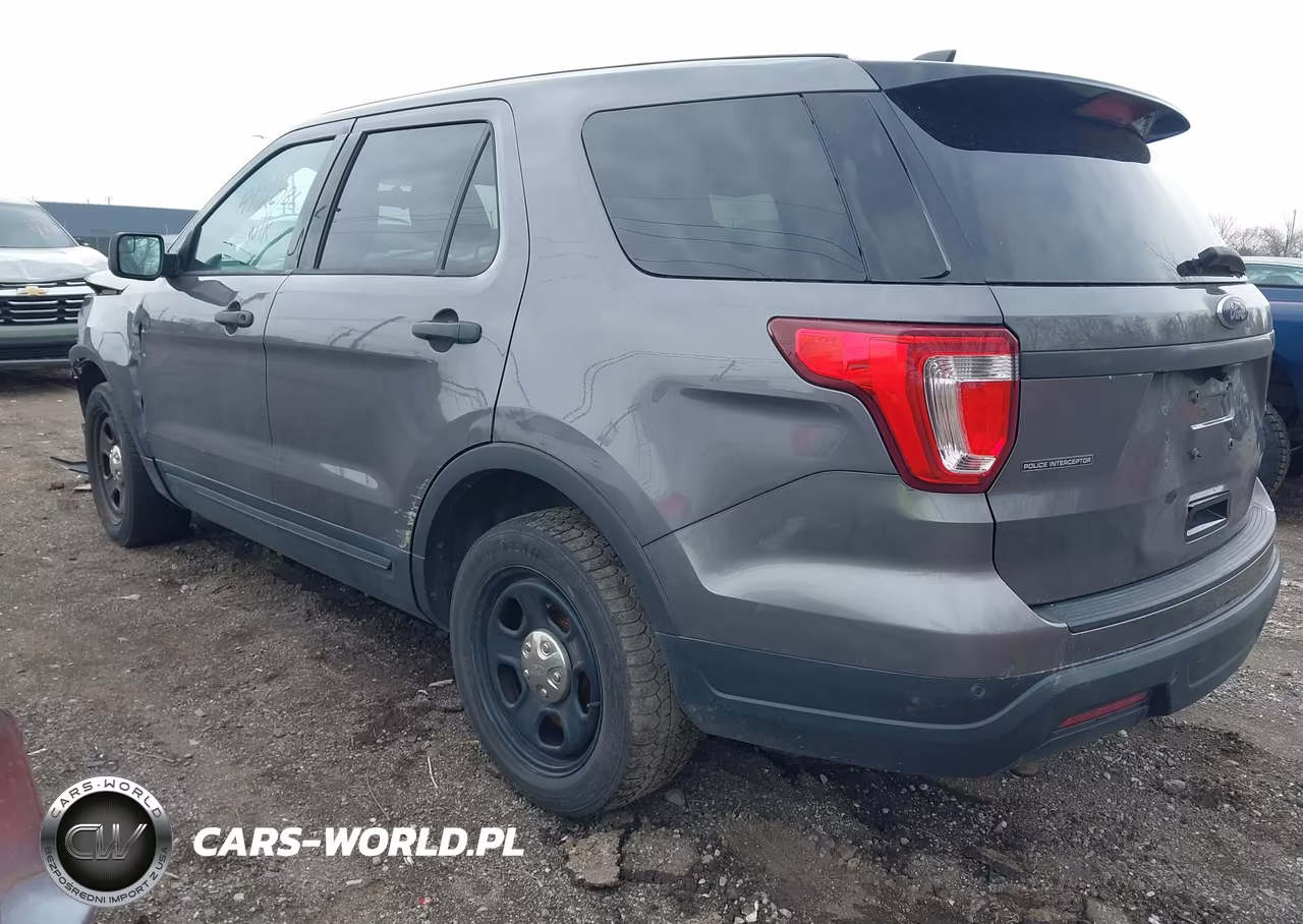 2019 Ford Police Interceptor Utility VIN:1FM5K8AR4KGA19801 - 3
