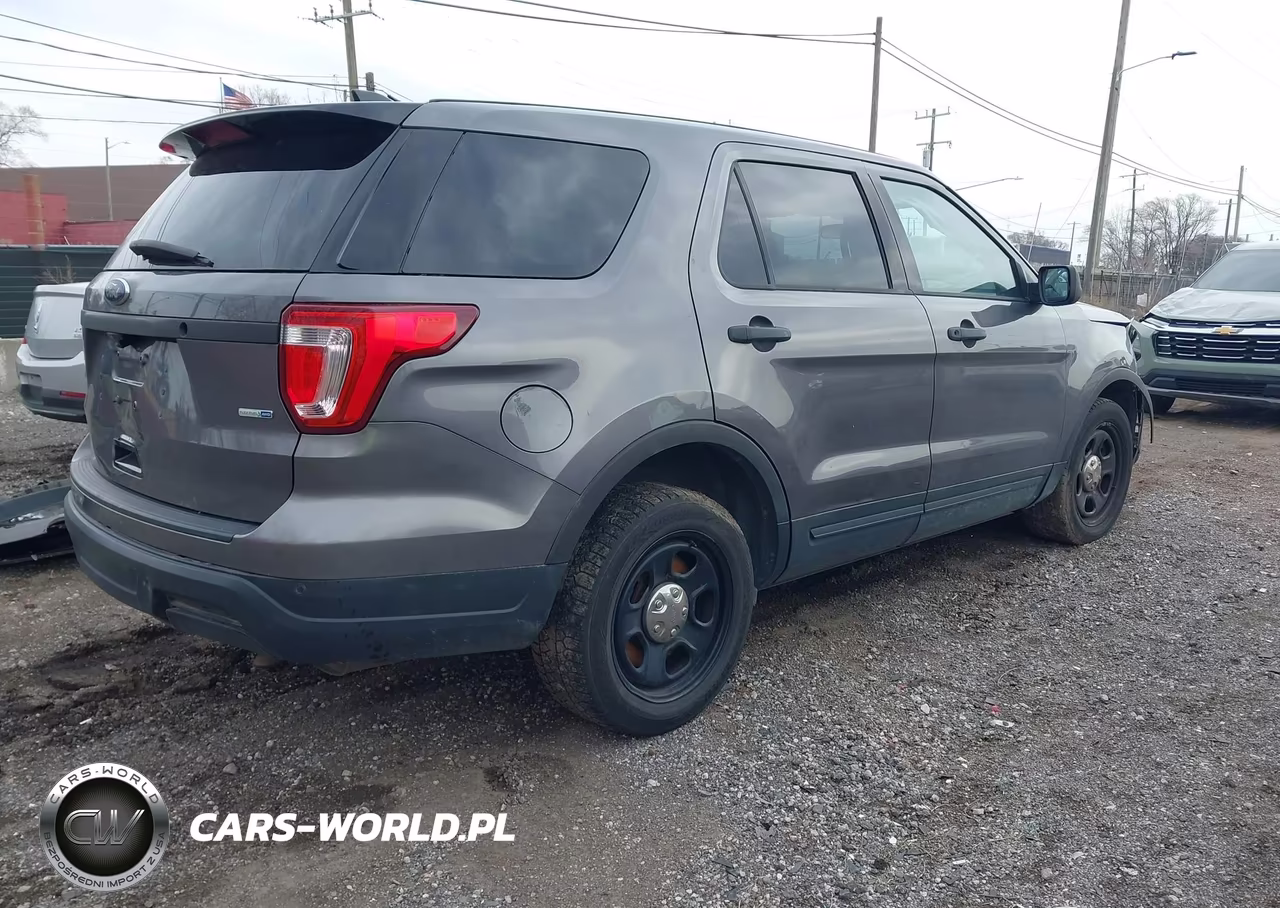 2019 Ford Police Interceptor Utility VIN:1FM5K8AR4KGA19801 - 4