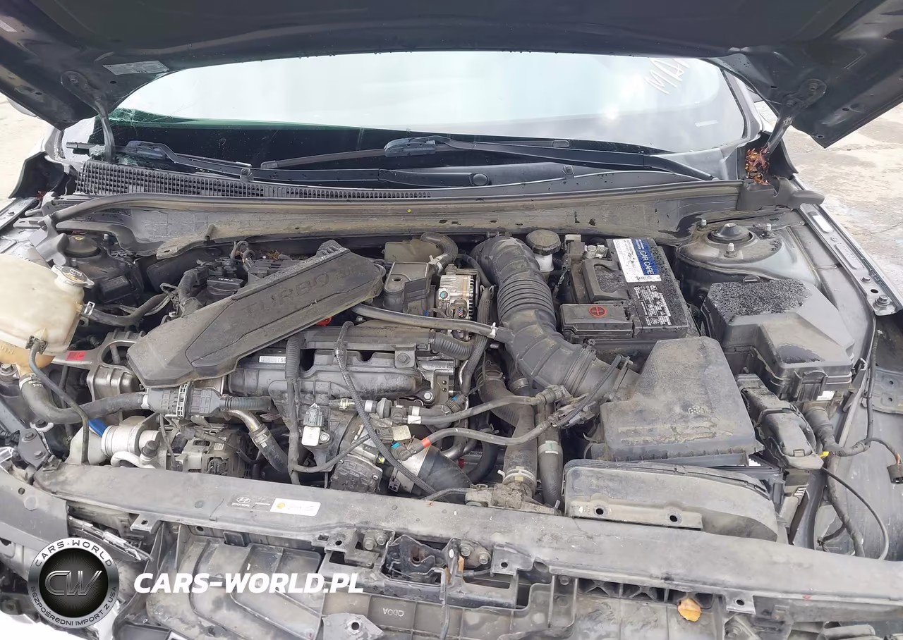 2022 Hyundai Elantra N Line VIN:KMHLR4AF4NU237759 - 10
