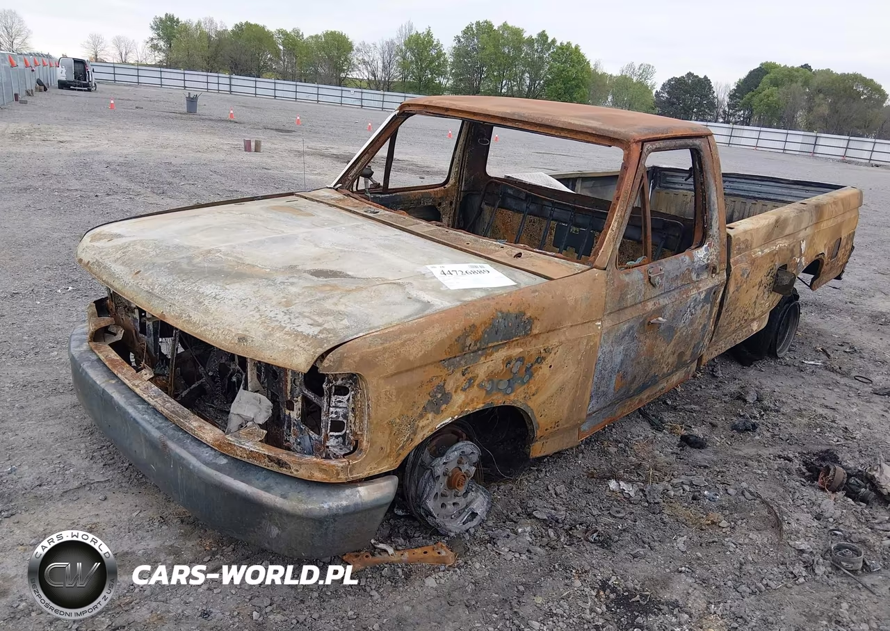 1994 Ford F150 VIN:1FTEF15Y3RNA81049 - 2
