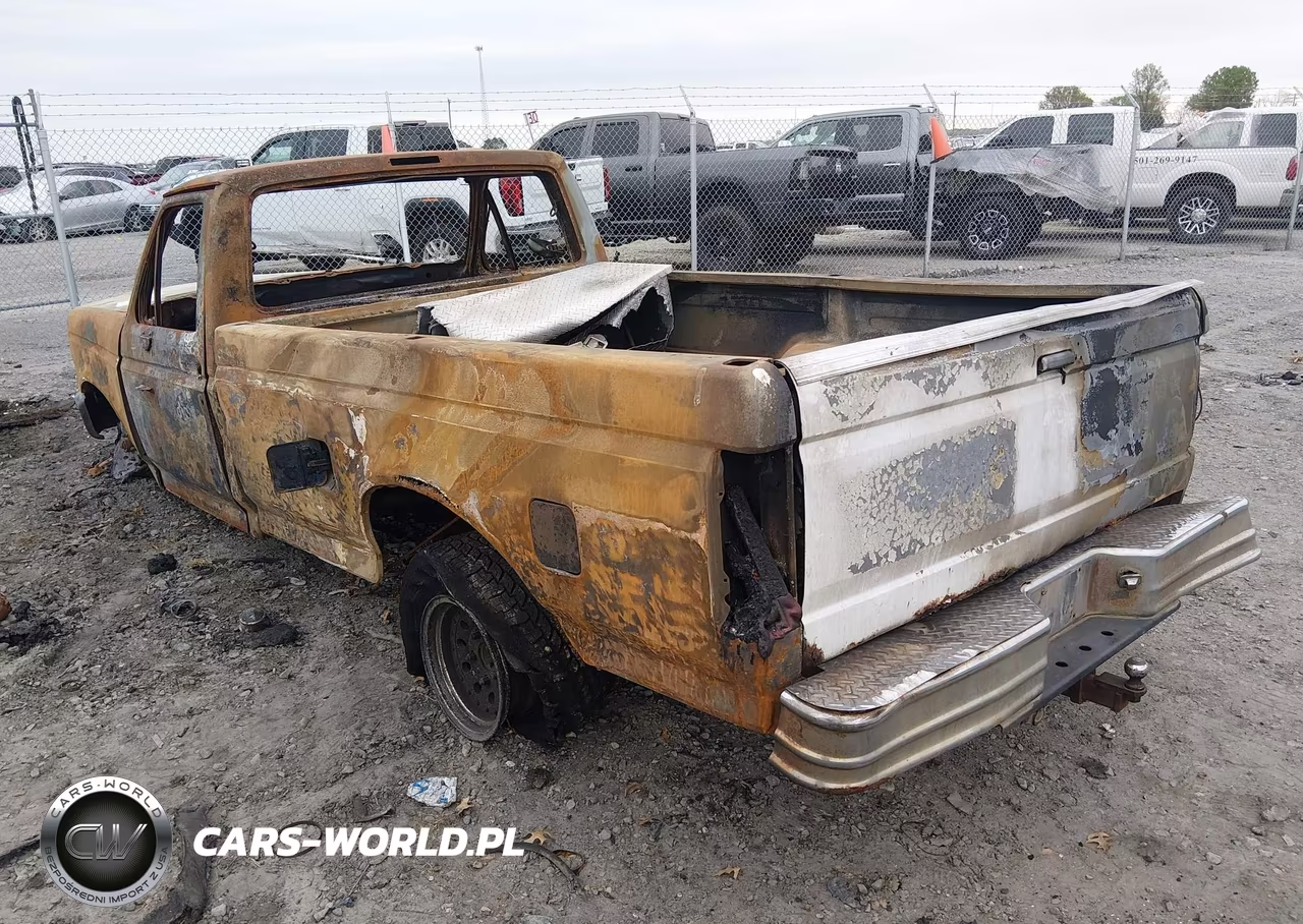 1994 Ford F150 VIN:1FTEF15Y3RNA81049 - 3
