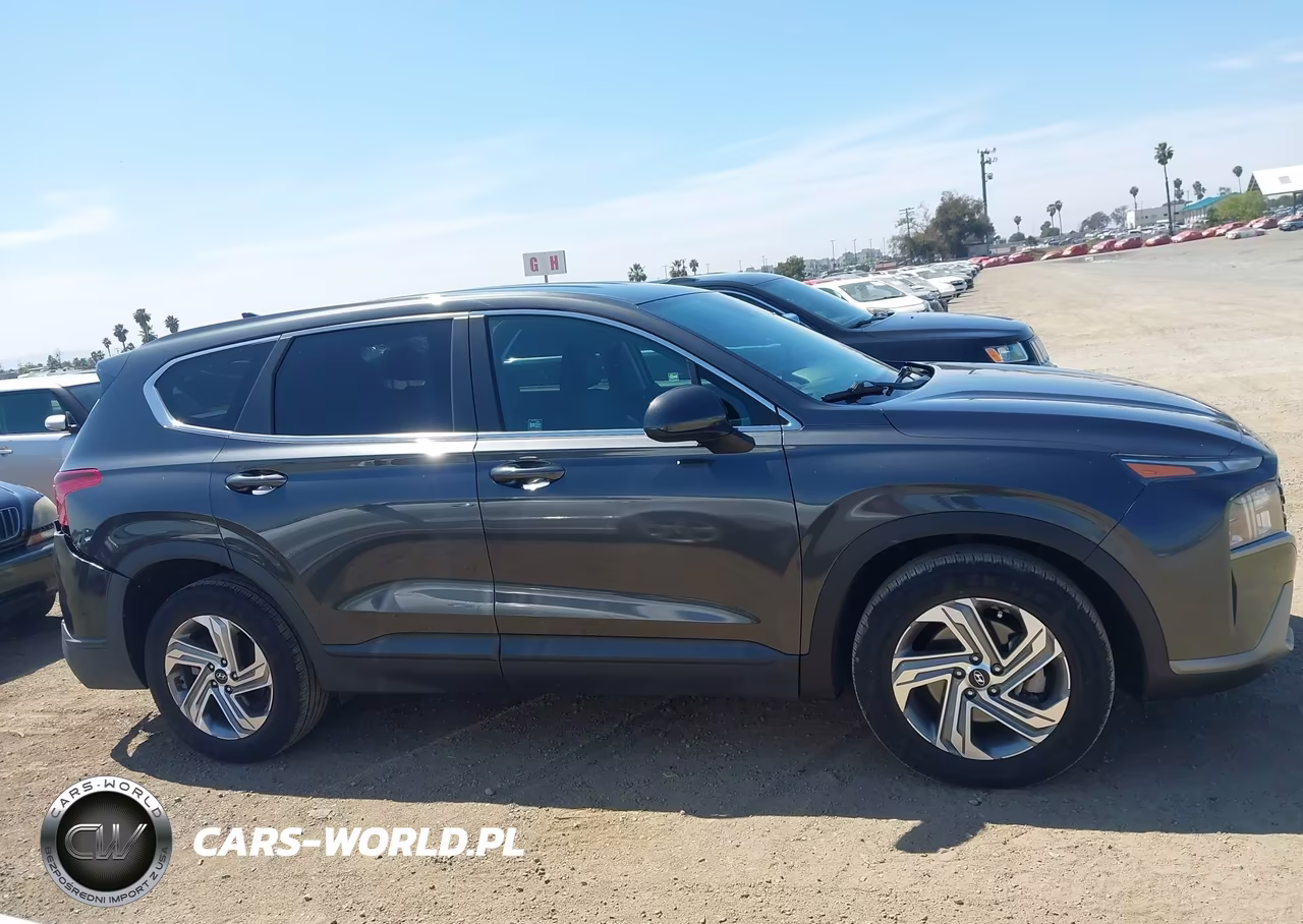 2021 Hyundai Santa Fe Se VIN:5NMS14AJ1MH310572 - 13