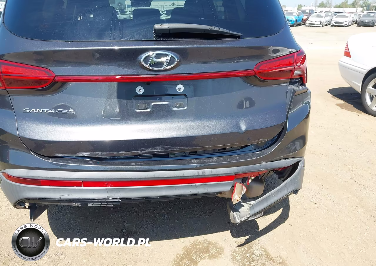 2021 Hyundai Santa Fe Se VIN:5NMS14AJ1MH310572 - 6