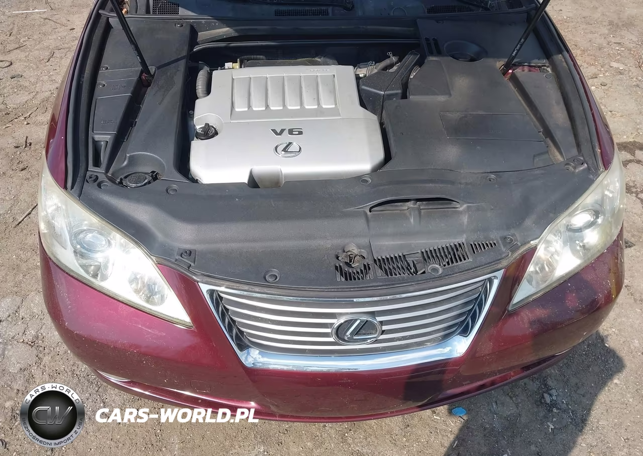 2007 Lexus Es 350 VIN:JTHBJ46G172138743 - 10