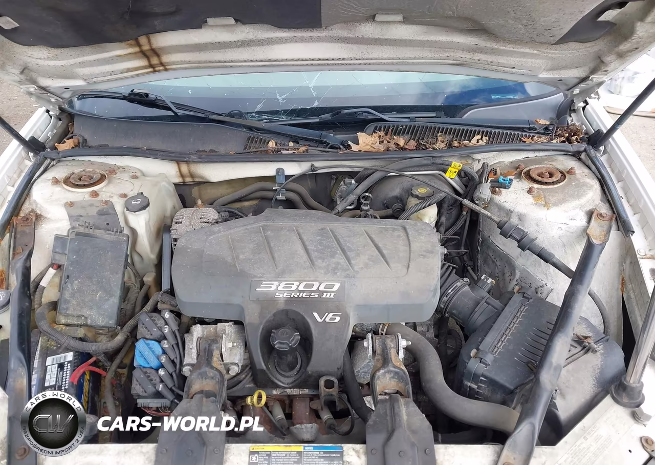 2005 Buick Lacrosse Cxl VIN:2G4WD532351255631 - 10