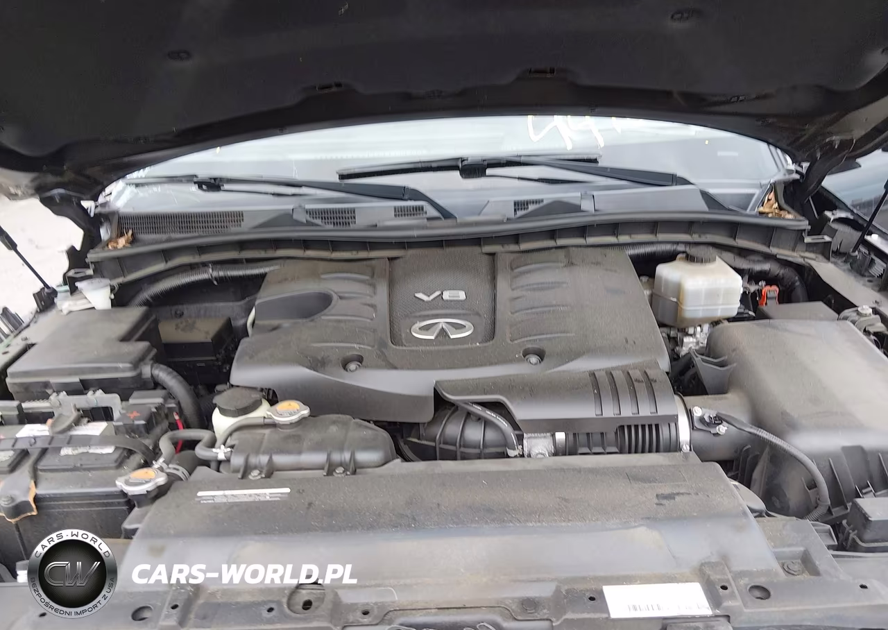 2018 Infiniti Qx80 VIN:JN8AZ2NE3J9191182 - 10