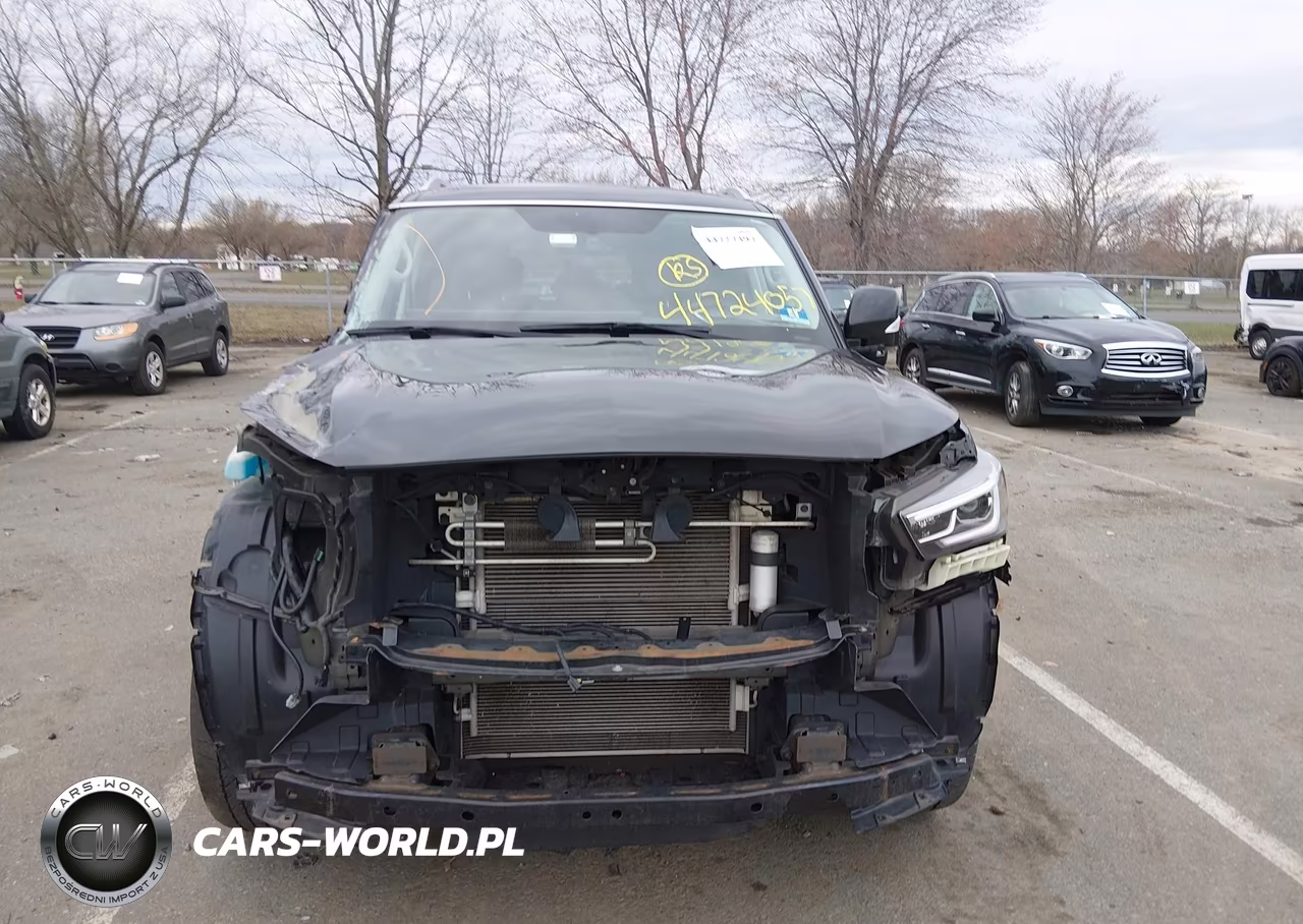 2018 Infiniti Qx80 VIN:JN8AZ2NE3J9191182 - 12