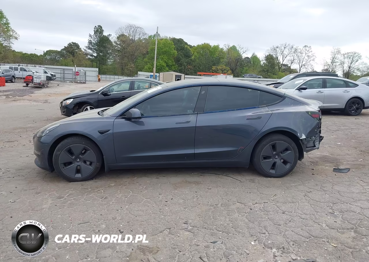 2023 Tesla Model 3 Rear-Wheel Drive VIN:5YJ3E1EA8PF394798 - 13