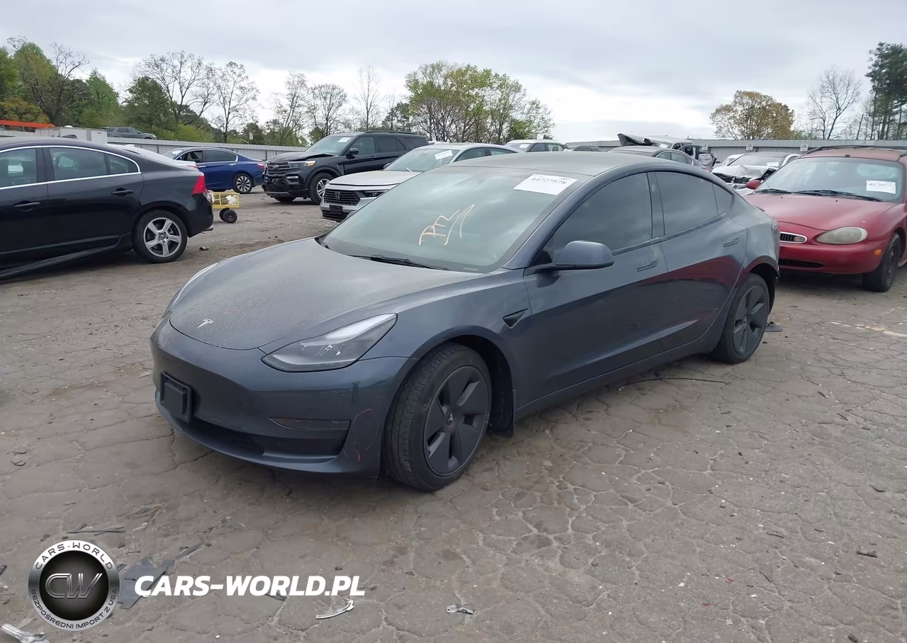 2023 Tesla Model 3 Rear-Wheel Drive VIN:5YJ3E1EA8PF394798 - 2
