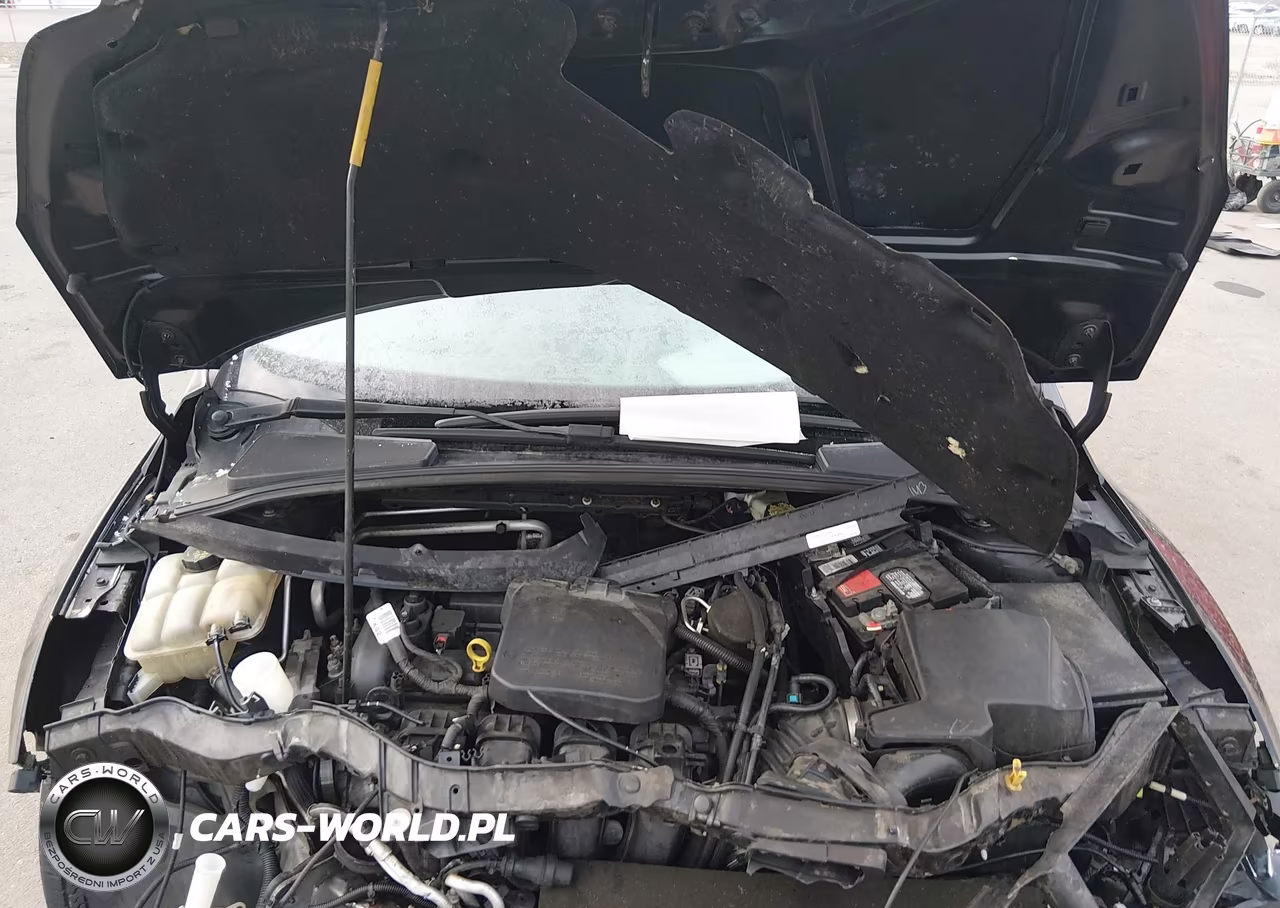 2014 Ford Focus S VIN:1FADP3E22EL219014 - 10