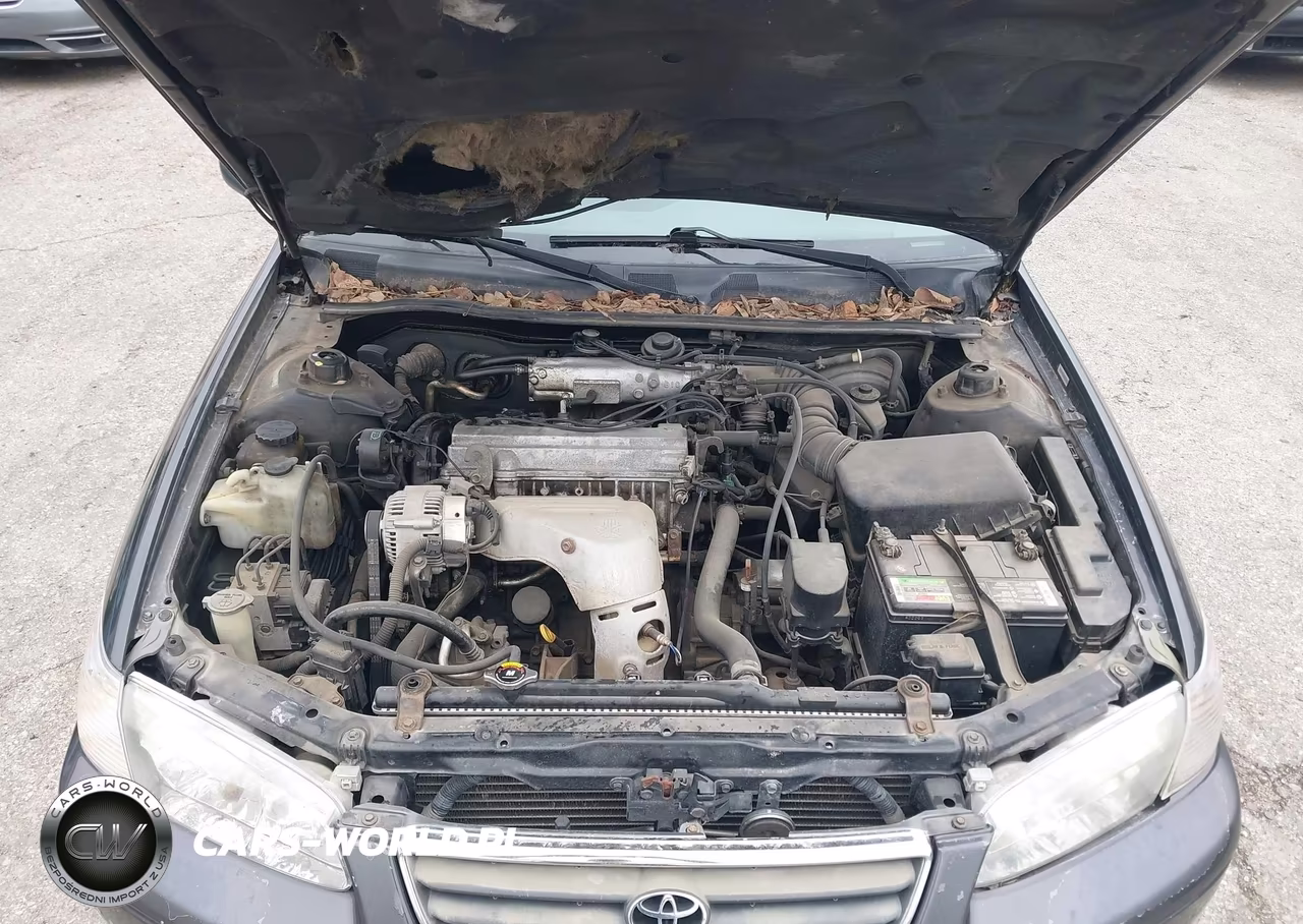 2001 Toyota Camry Le VIN:4T1BG22KX1U792288 - 10