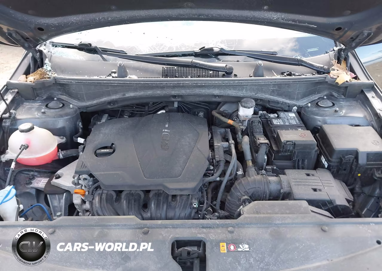 2023 Kia Sportage X-Line VIN:5XYK6CAF9PG030467 - 10
