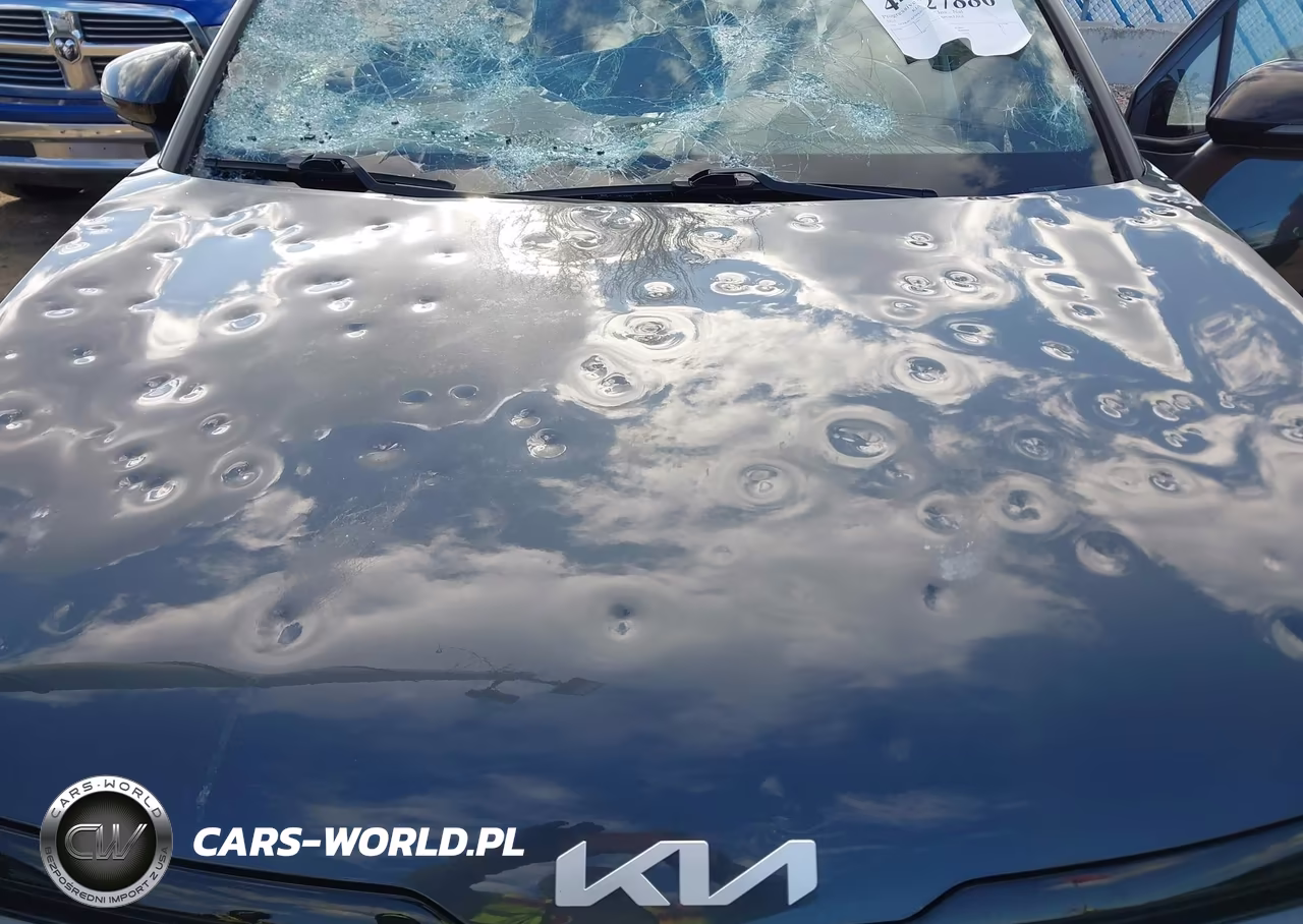 2023 Kia Sportage X-Line VIN:5XYK6CAF9PG030467 - 6