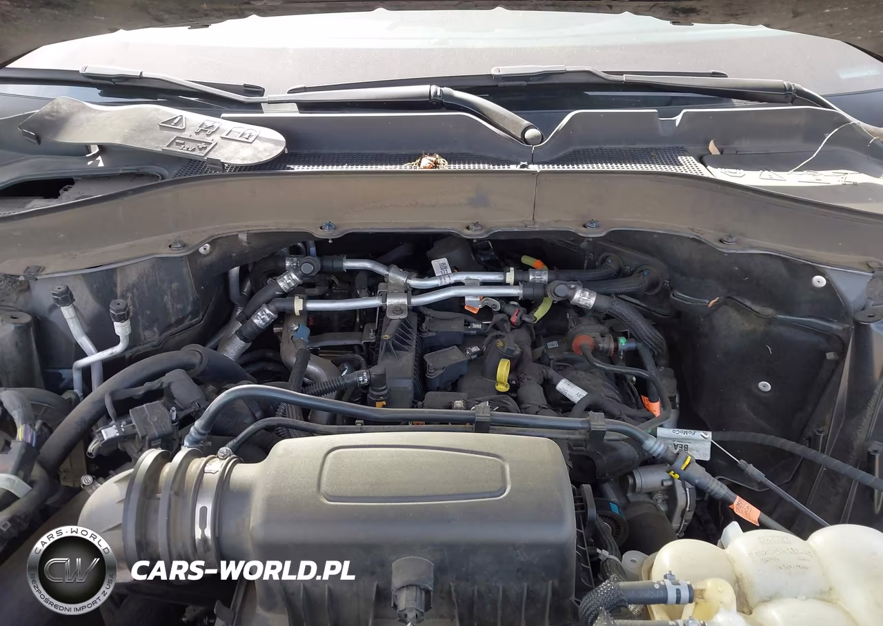 2022 Ford Explorer Xlt VIN:1FMSK8DHXNGA44969 - 10