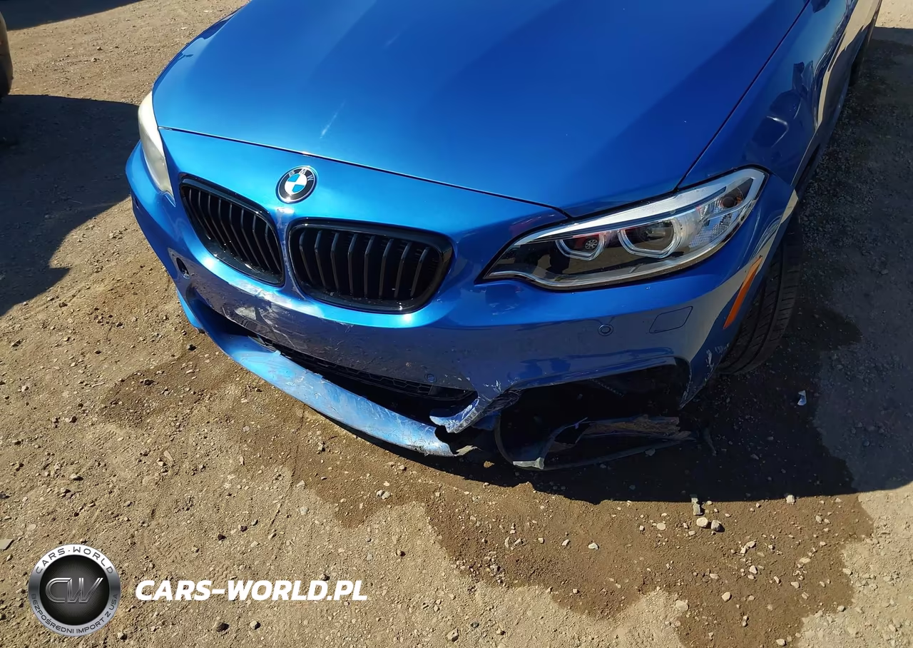 2016 BMW M235I VIN:WBA1J7C56GV360286 - 6
