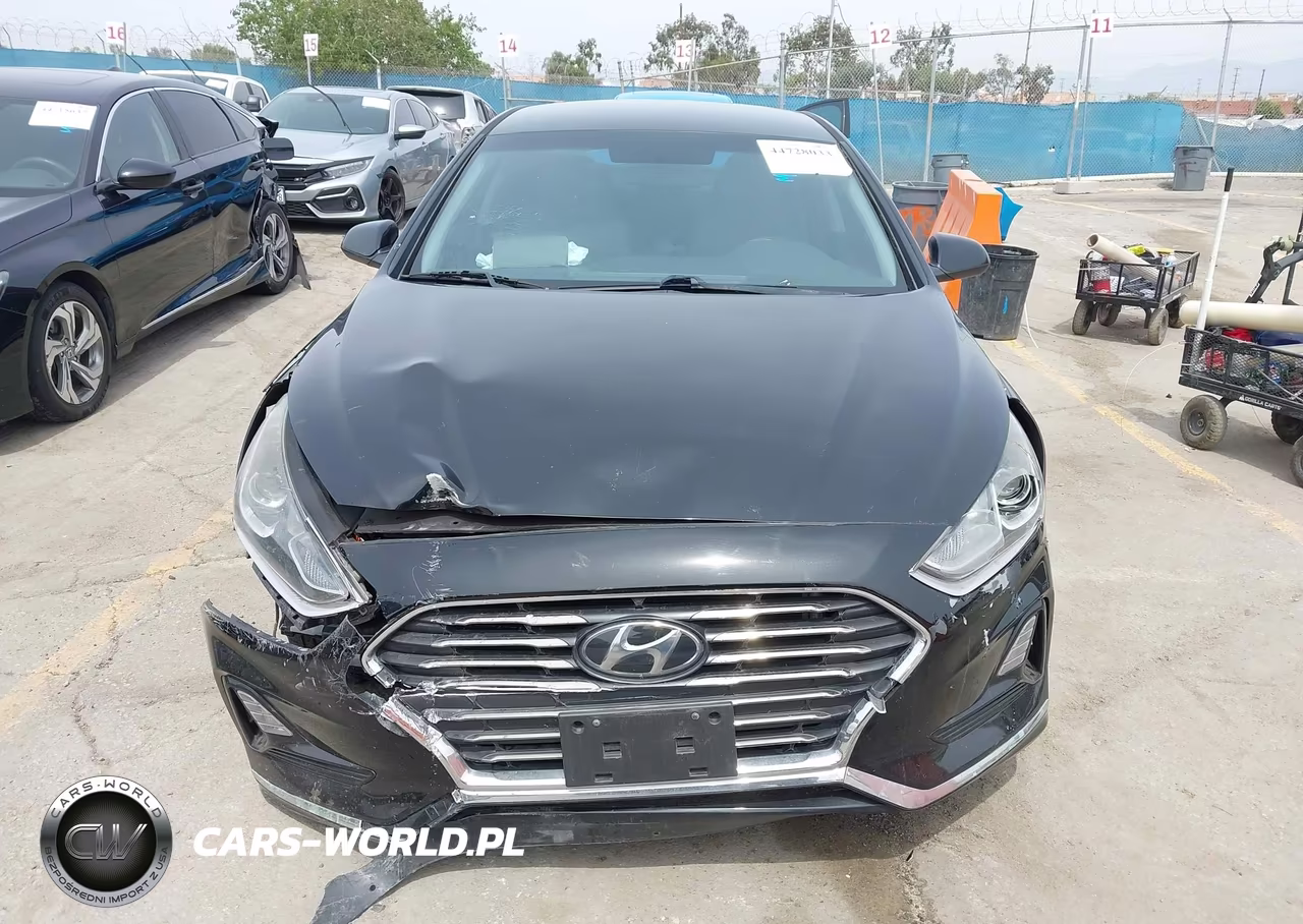 2019 Hyundai Sonata Se VIN:5NPE24AF7KH748759 - 12
