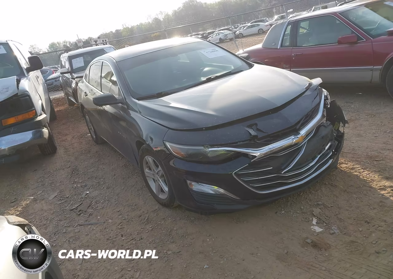 2019 Chevrolet Malibu 1Ls
