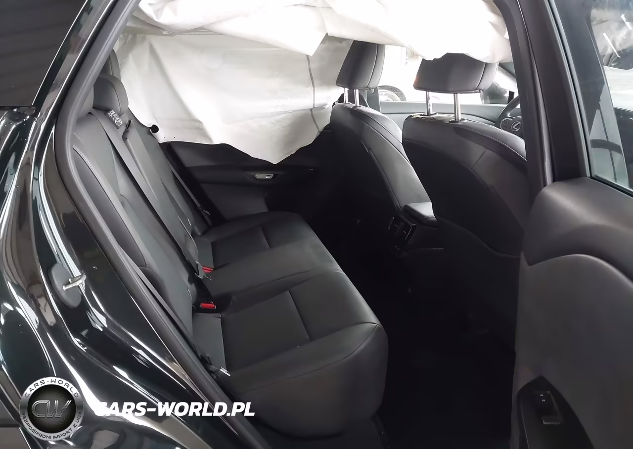 2024 Lexus Rz 300E Premium VIN:JTJABABBXRA004936 - 8