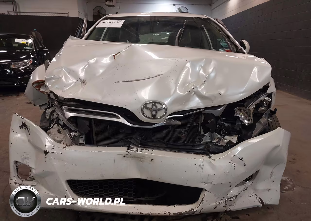 2010 Toyota Venza VIN:4T3ZA3BB6AU034848 - 11