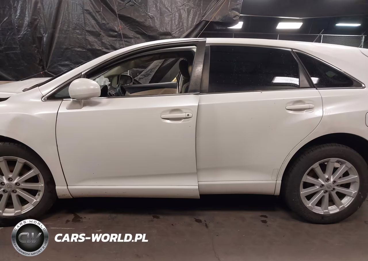 2010 Toyota Venza VIN:4T3ZA3BB6AU034848 - 13