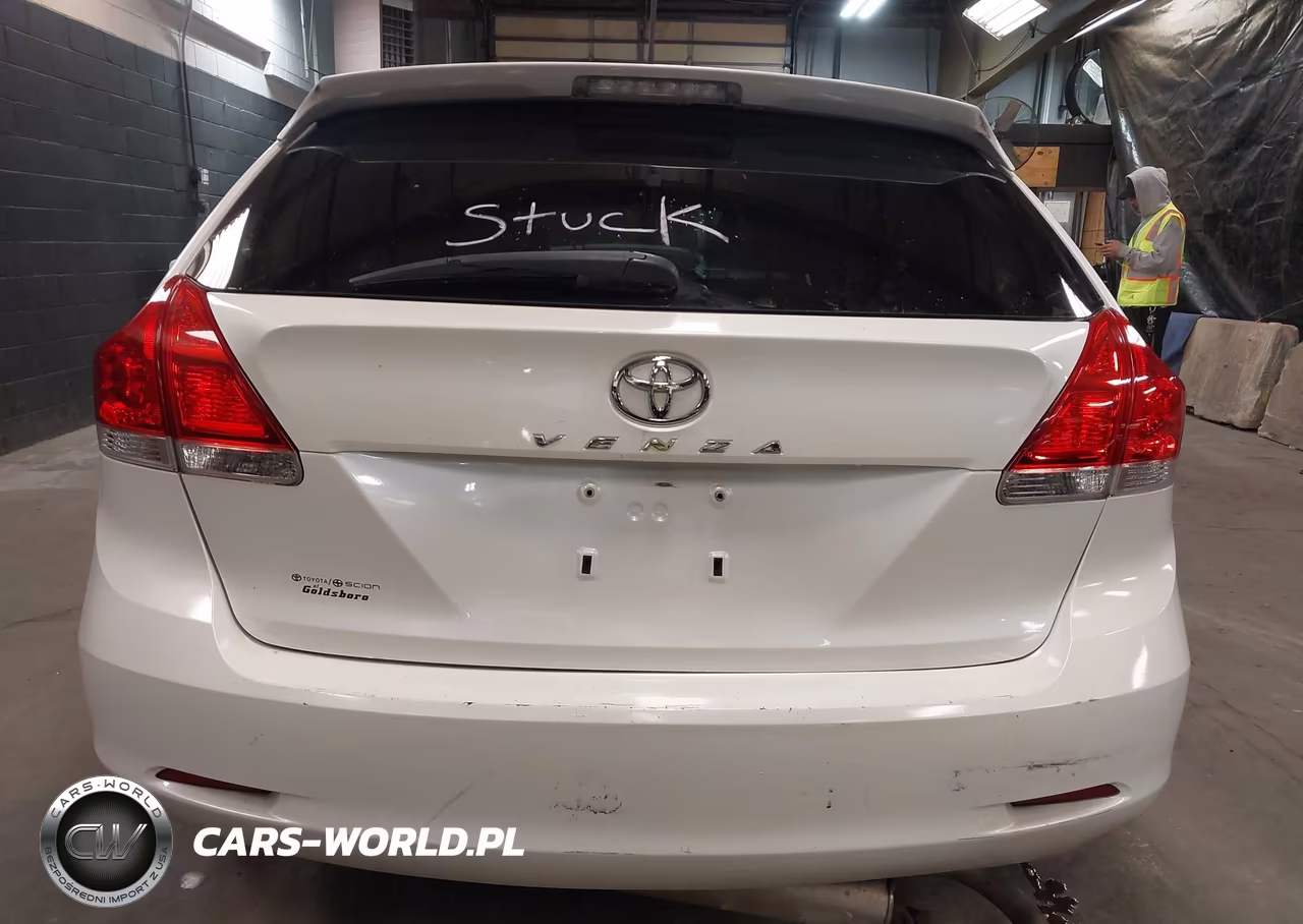 2010 Toyota Venza VIN:4T3ZA3BB6AU034848 - 15