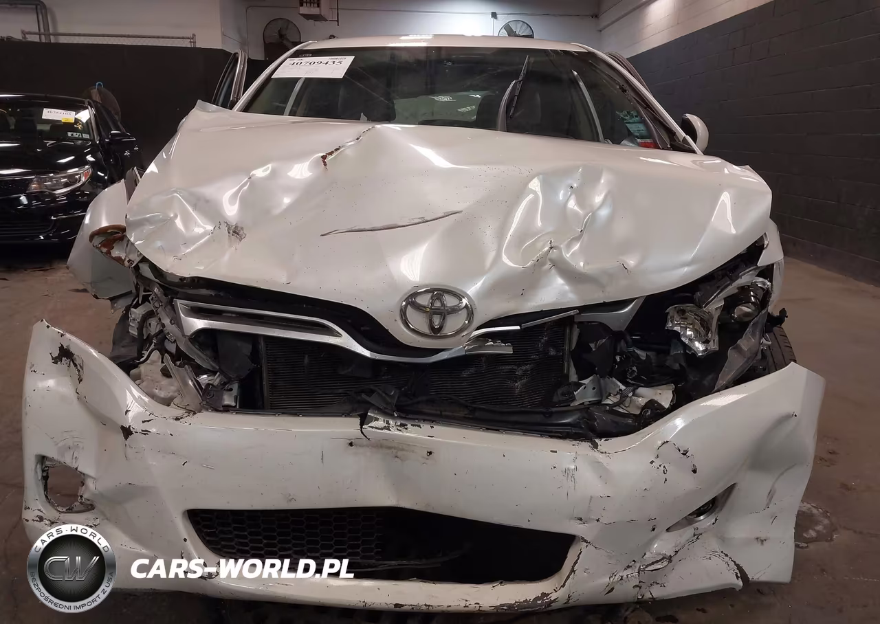 2010 Toyota Venza VIN:4T3ZA3BB6AU034848 - 6