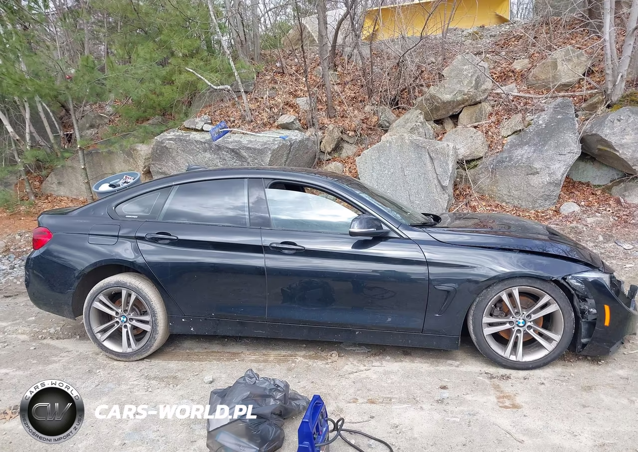 2019 BMW 430I Gran Coupe VIN:WBA4J1C53KBM13885 - 13
