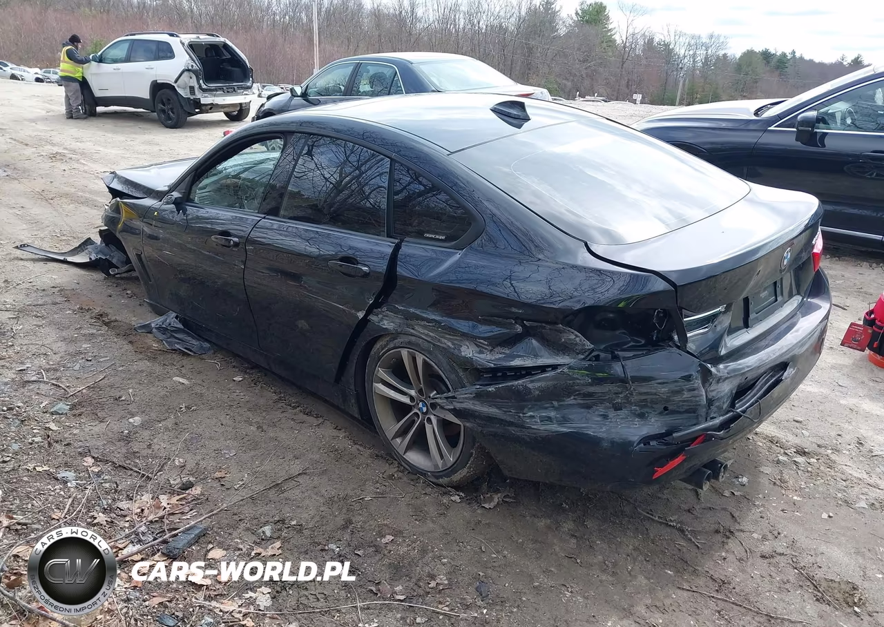 2019 BMW 430I Gran Coupe VIN:WBA4J1C53KBM13885 - 3