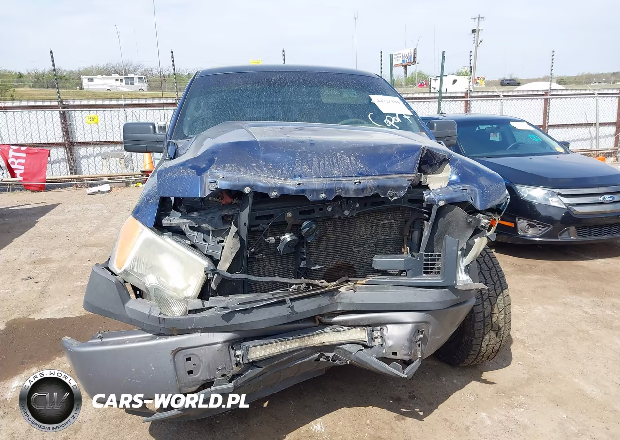 2009 Ford F-150 Xl VIN:1FTRW12WX9FA76431 - 12