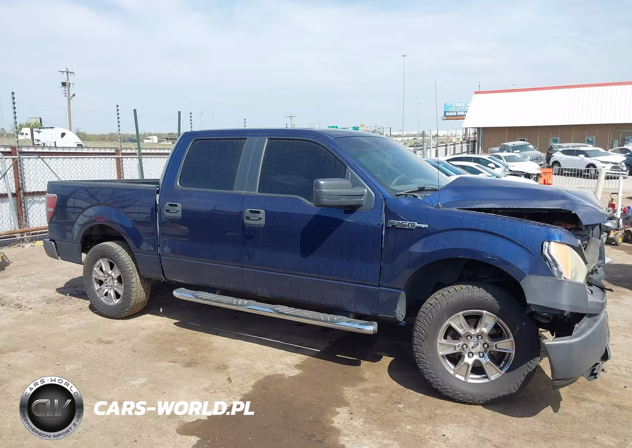 2009 Ford F-150 Xl VIN:1FTRW12WX9FA76431 - 13