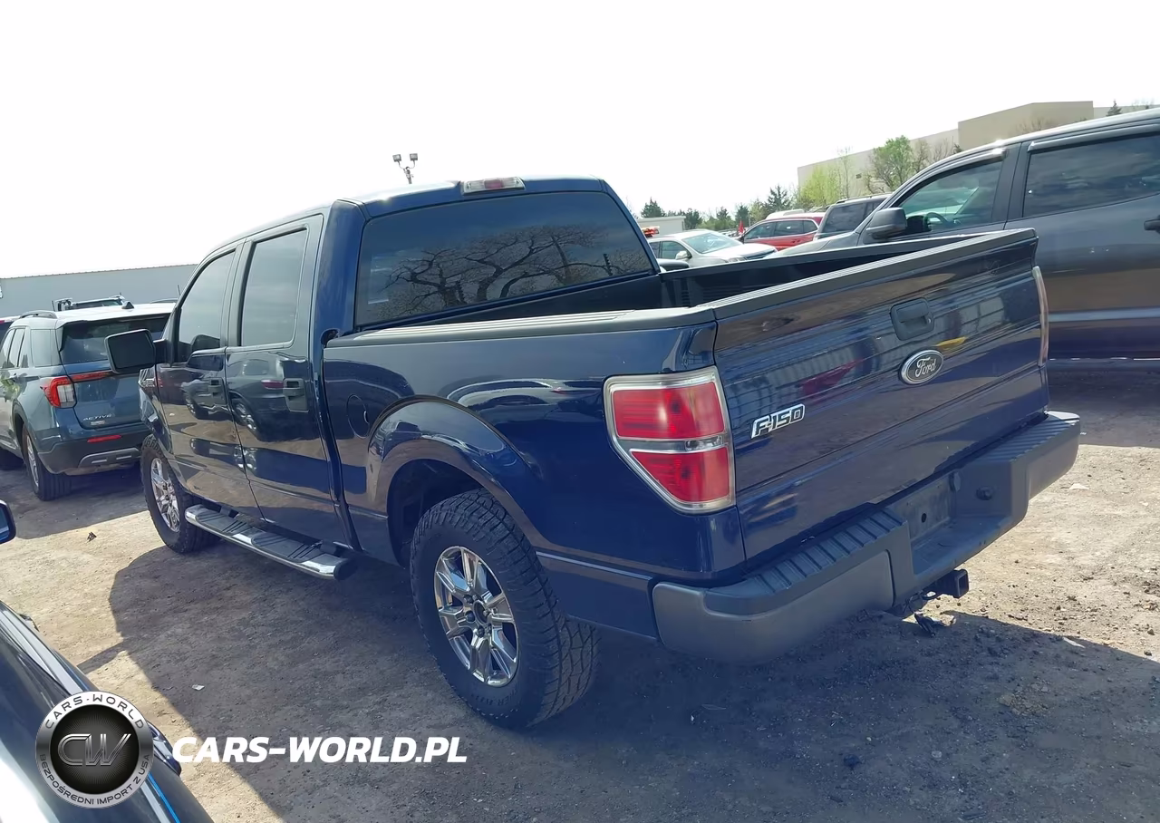 2009 Ford F-150 Xl VIN:1FTRW12WX9FA76431 - 14