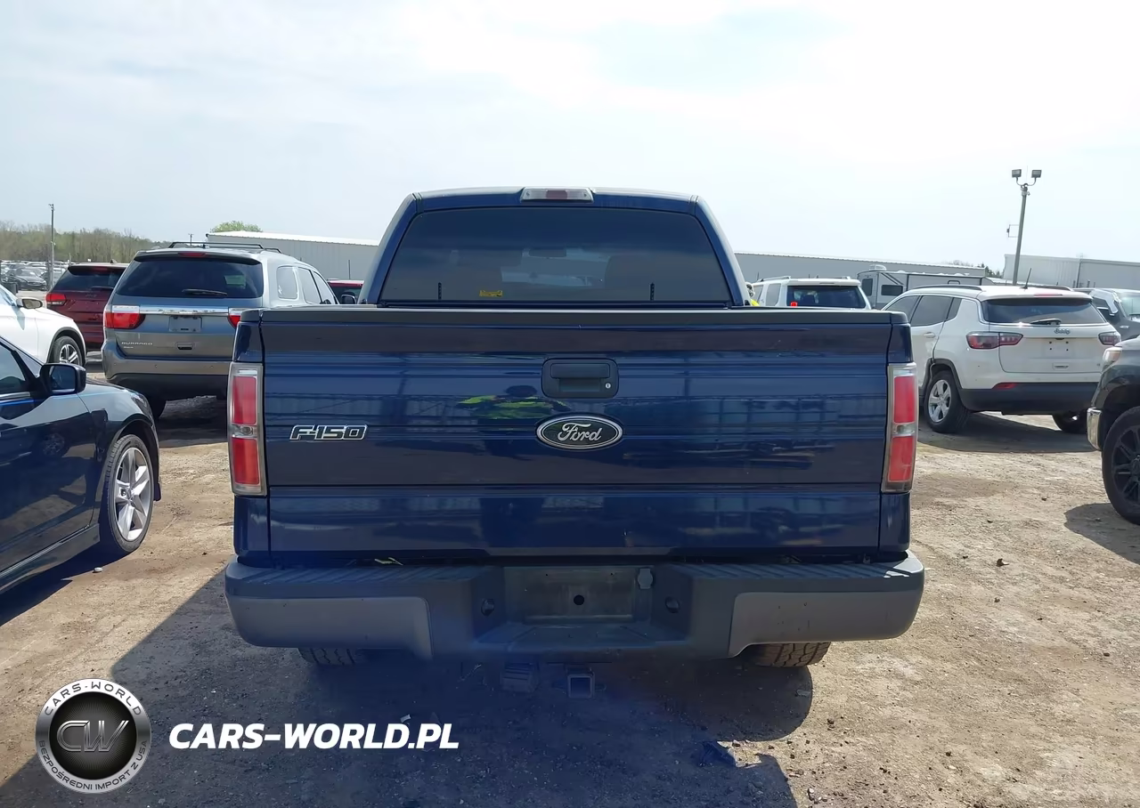 2009 Ford F-150 Xl VIN:1FTRW12WX9FA76431 - 16