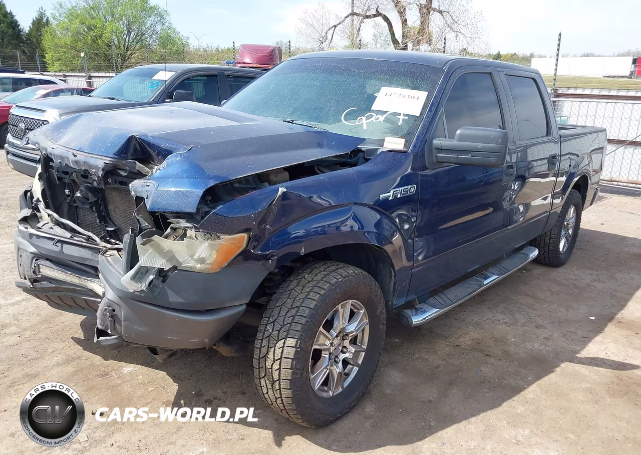2009 Ford F-150 Xl VIN:1FTRW12WX9FA76431 - 2
