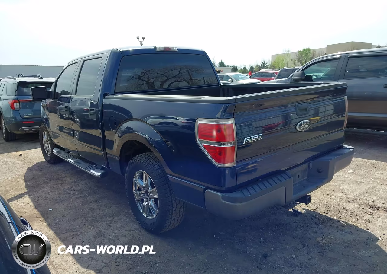 2009 Ford F-150 Xl VIN:1FTRW12WX9FA76431 - 3