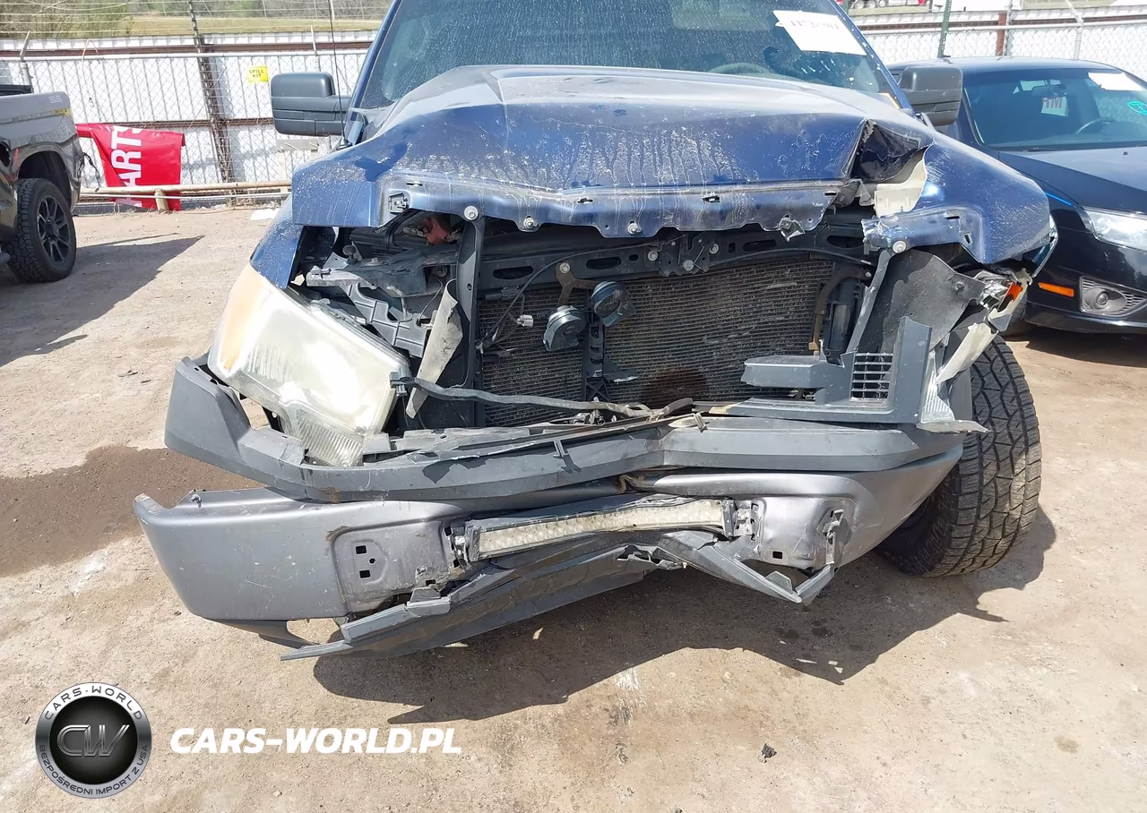2009 Ford F-150 Xl VIN:1FTRW12WX9FA76431 - 6