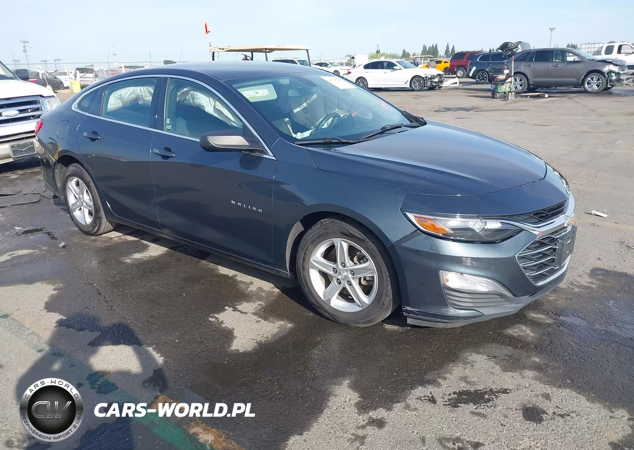 2019 Chevrolet Malibu 1Ls
