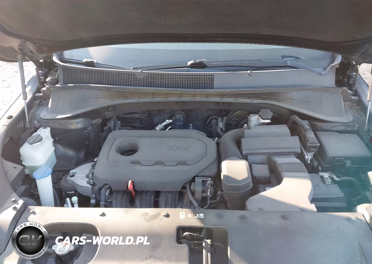 2017 Kia Sorento 2.4L L VIN:5XYPG4A32HG271710 - 10