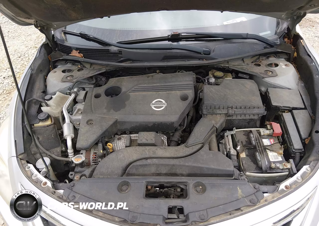 2014 Nissan Altima VIN:1N4AL3AP7EN383265 - 10
