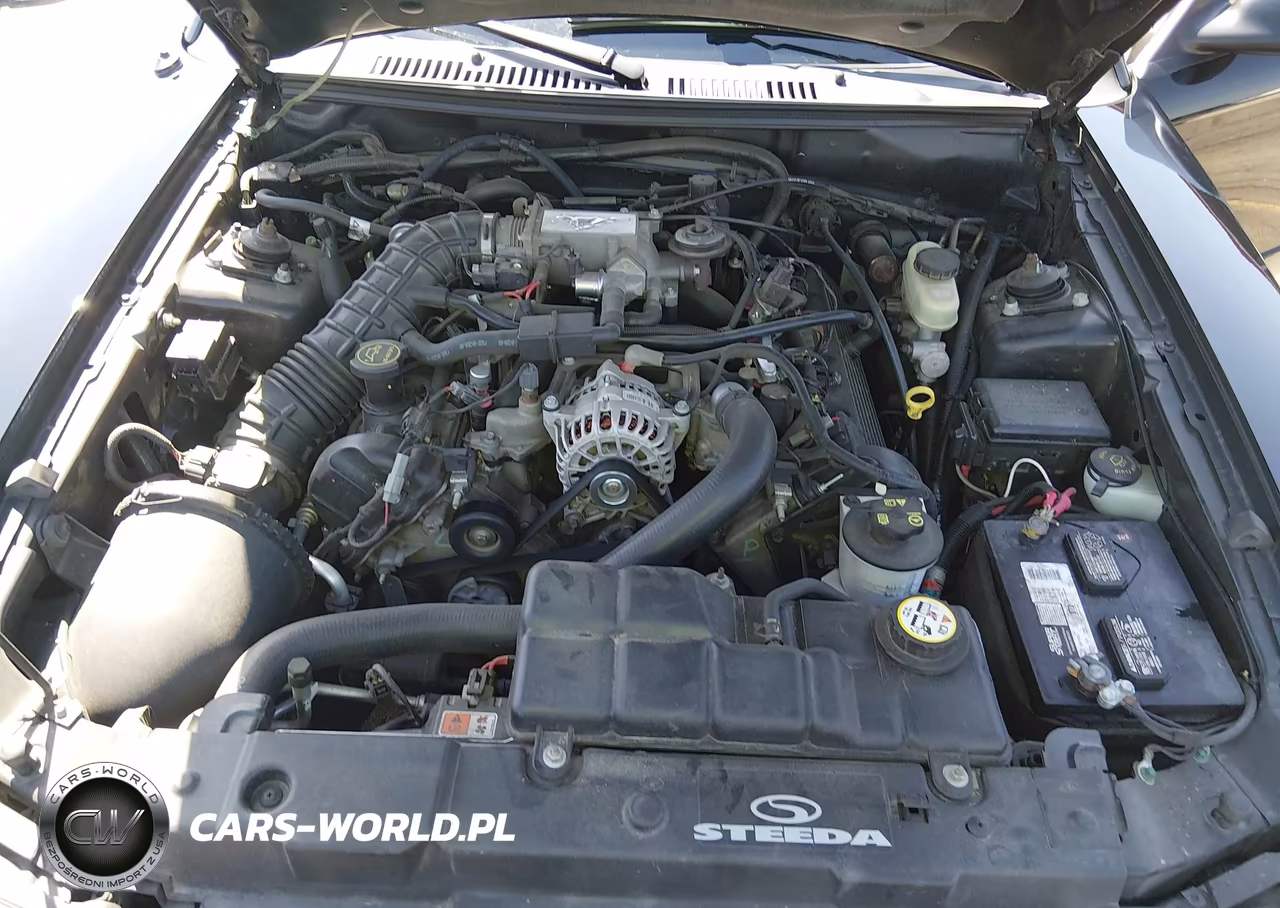 2004 Ford Mustang Gt VIN:1FAFP42X34F170823 - 10