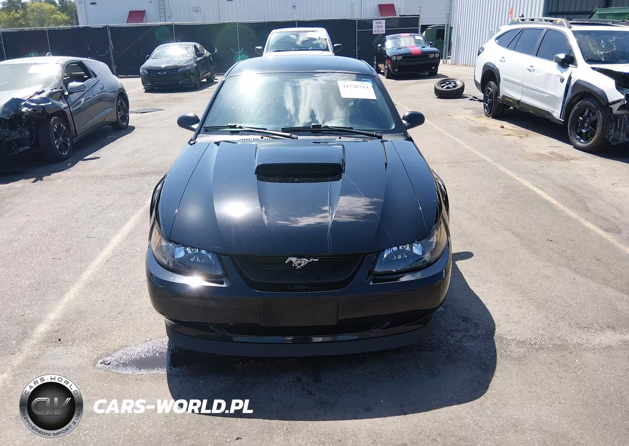2004 Ford Mustang Gt VIN:1FAFP42X34F170823 - 12