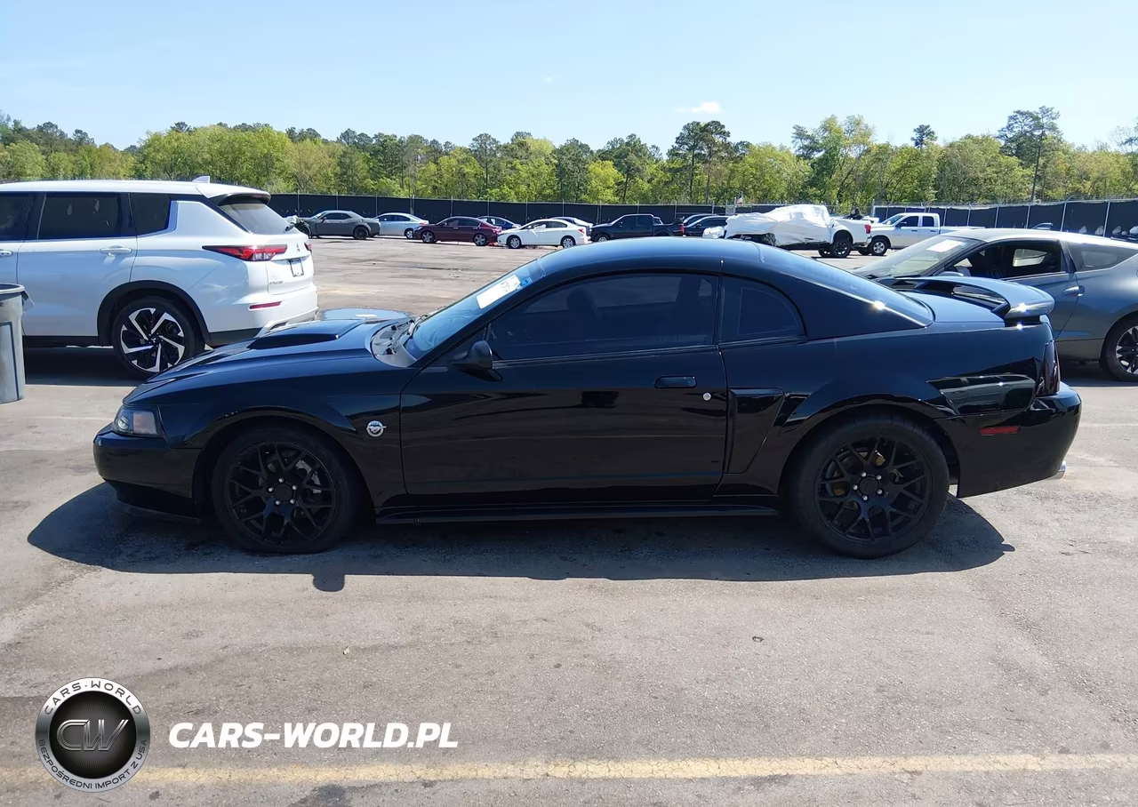 2004 Ford Mustang Gt VIN:1FAFP42X34F170823 - 14