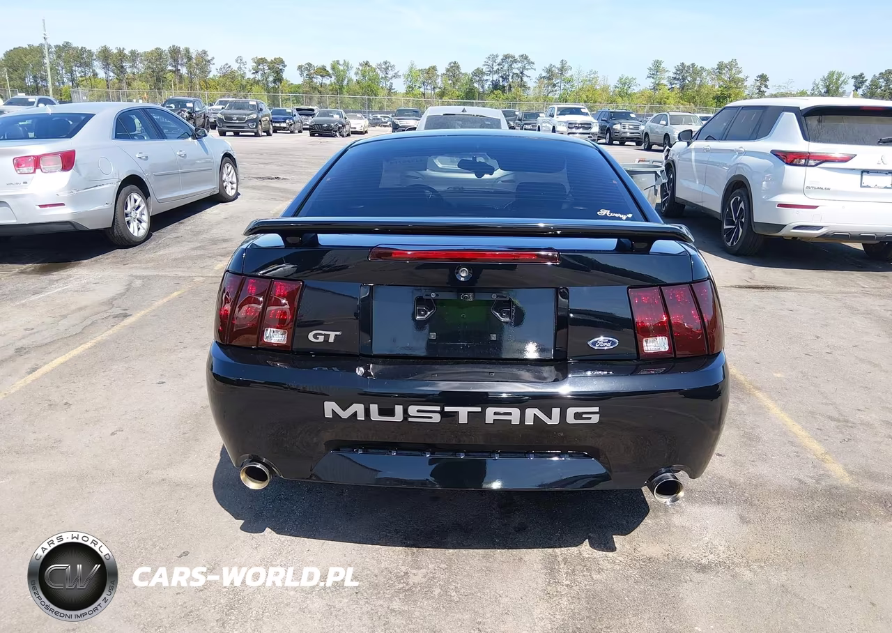 2004 Ford Mustang Gt VIN:1FAFP42X34F170823 - 16