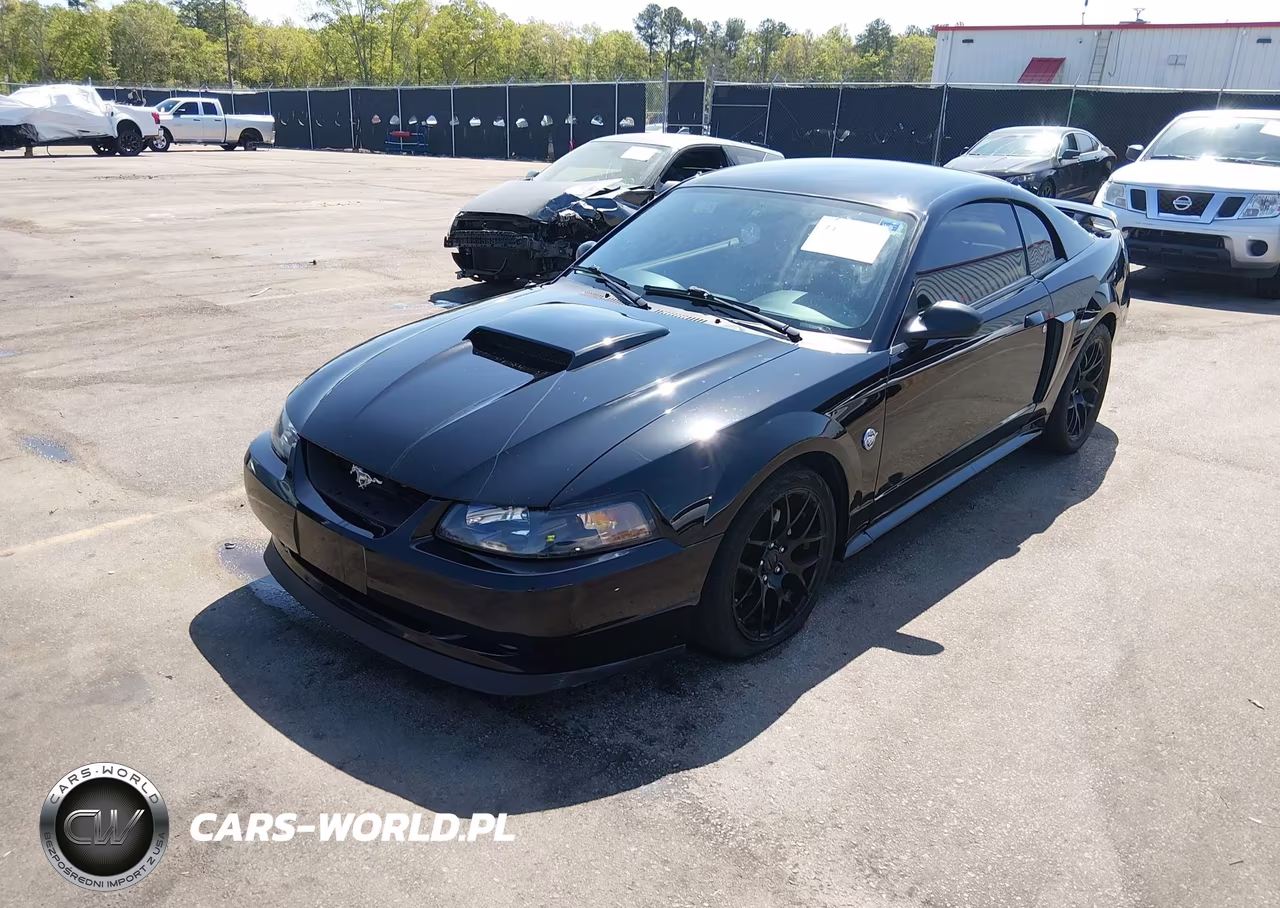 2004 Ford Mustang Gt VIN:1FAFP42X34F170823 - 2