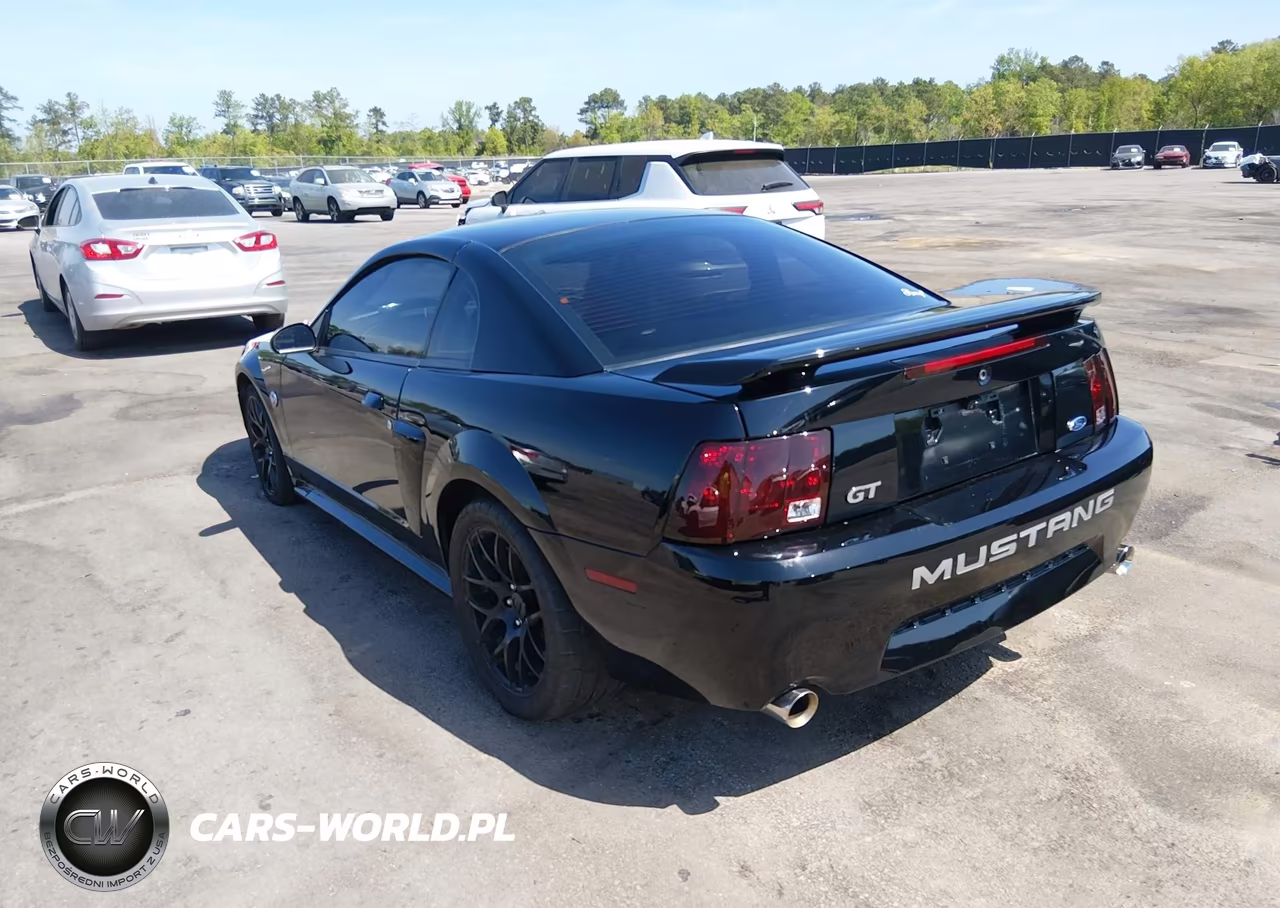 2004 Ford Mustang Gt VIN:1FAFP42X34F170823 - 3