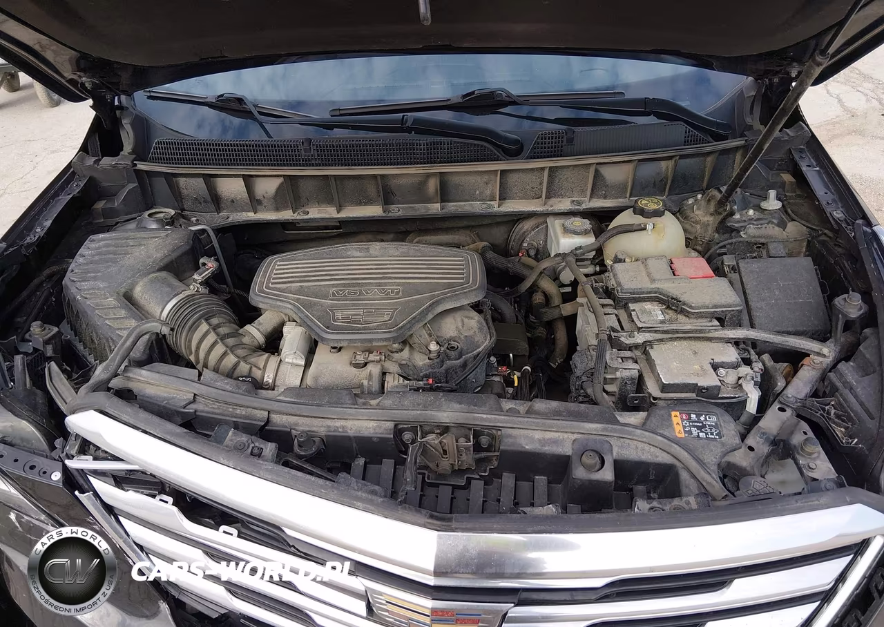2019 Cadillac Xt5 Luxury VIN:1GYKNDRS5KZ254382 - 10