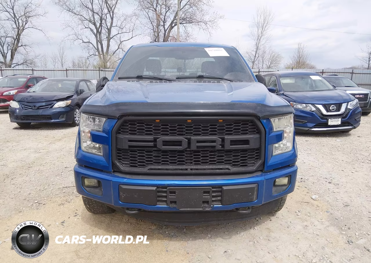 2015 Ford F-150 Xlt VIN:1FTFX1EF3FFA86158 - 12