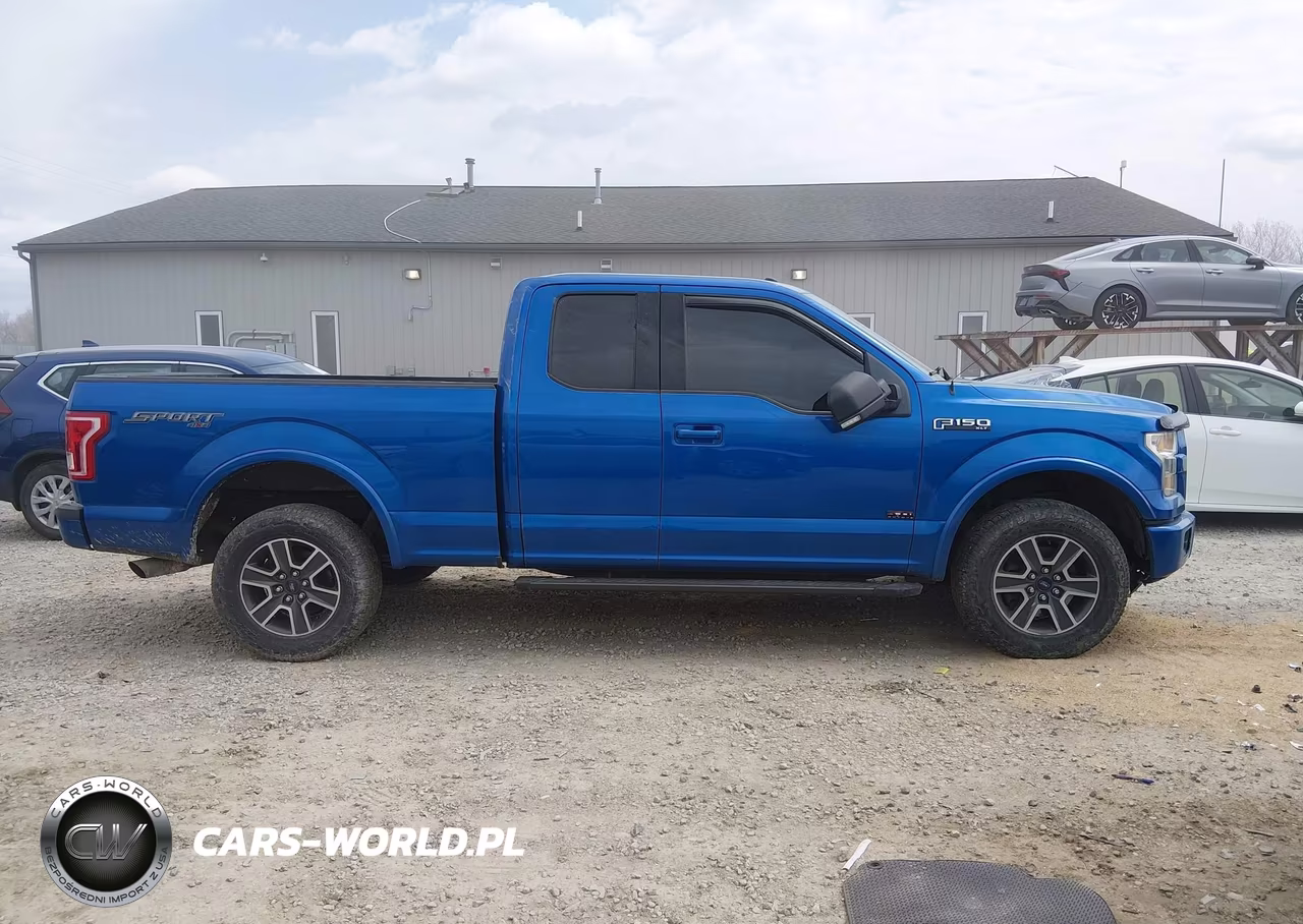 2015 Ford F-150 Xlt VIN:1FTFX1EF3FFA86158 - 13